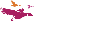 Clongriffin Logo