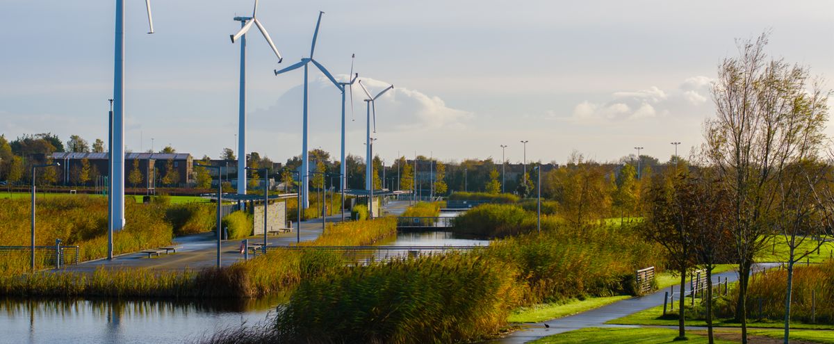 Father Collins Park - <br>A hidden gem